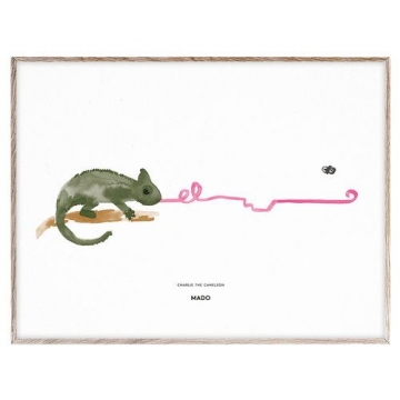 CHARLIE THE CHAMELEON / 30x40cm   -   Mado