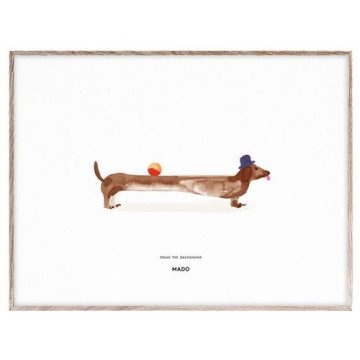 DOUG THE DACHSHUND / 30x40cm   -   Mado